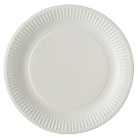 20 Assiettes Carton Rondes Blanches