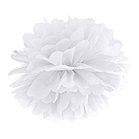 La Boule Pompon Papier de Soie 35cm