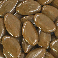 Dragée Chocolat 500gr pas chère Chocolat