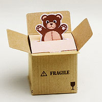 Nounours Sortant du Colis Contenant Dragées Kraft x6