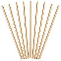 Pailles Kraft Carton x10