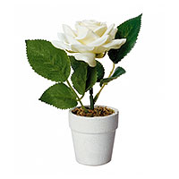 Petit Pot Rose Blanche Artificielle