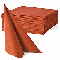Grandes Serviettes Papier Terracotta x40