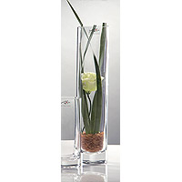 Le Vase en Verre Epais Droit et Etroit 24 cm Bords Polis